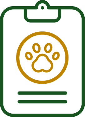 animal encounters